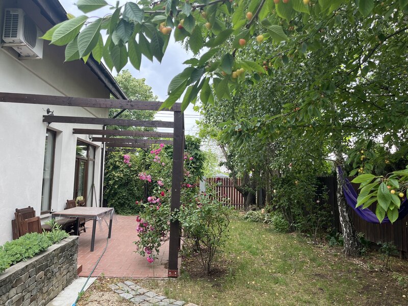 Mogosoaia, zona Martha Bibescu