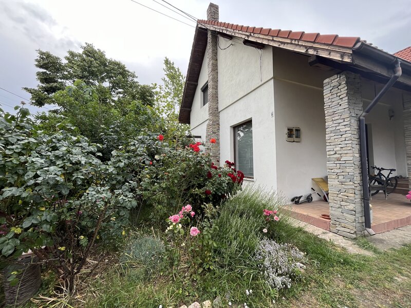 Mogosoaia, zona Martha Bibescu