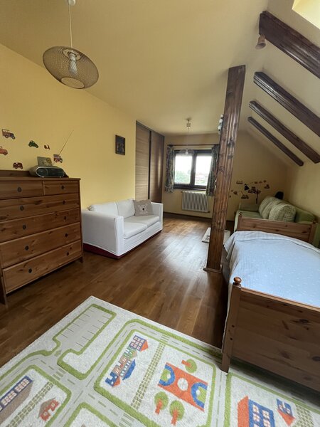 Mogosoaia, zona Martha Bibescu