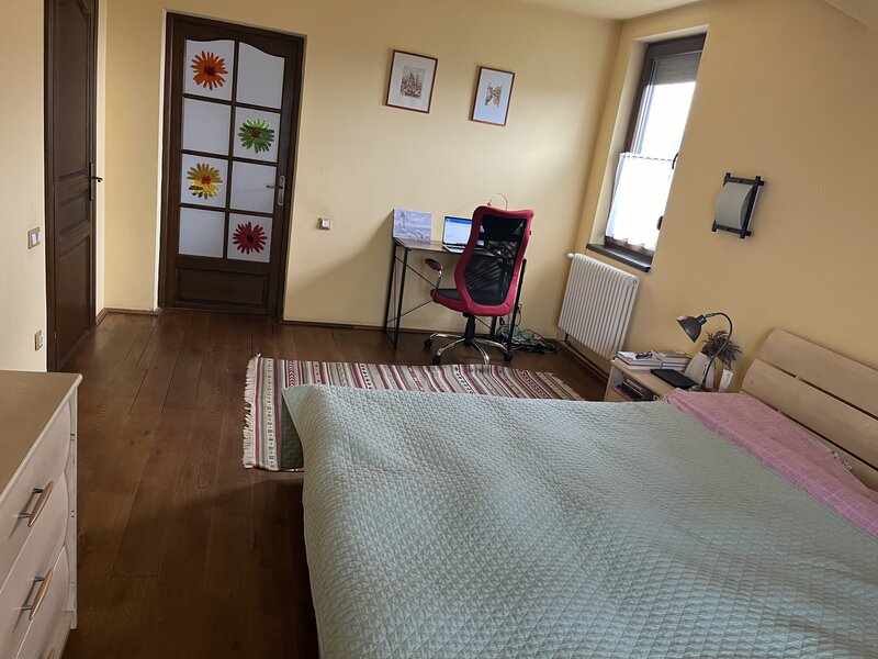 Mogosoaia, zona Martha Bibescu